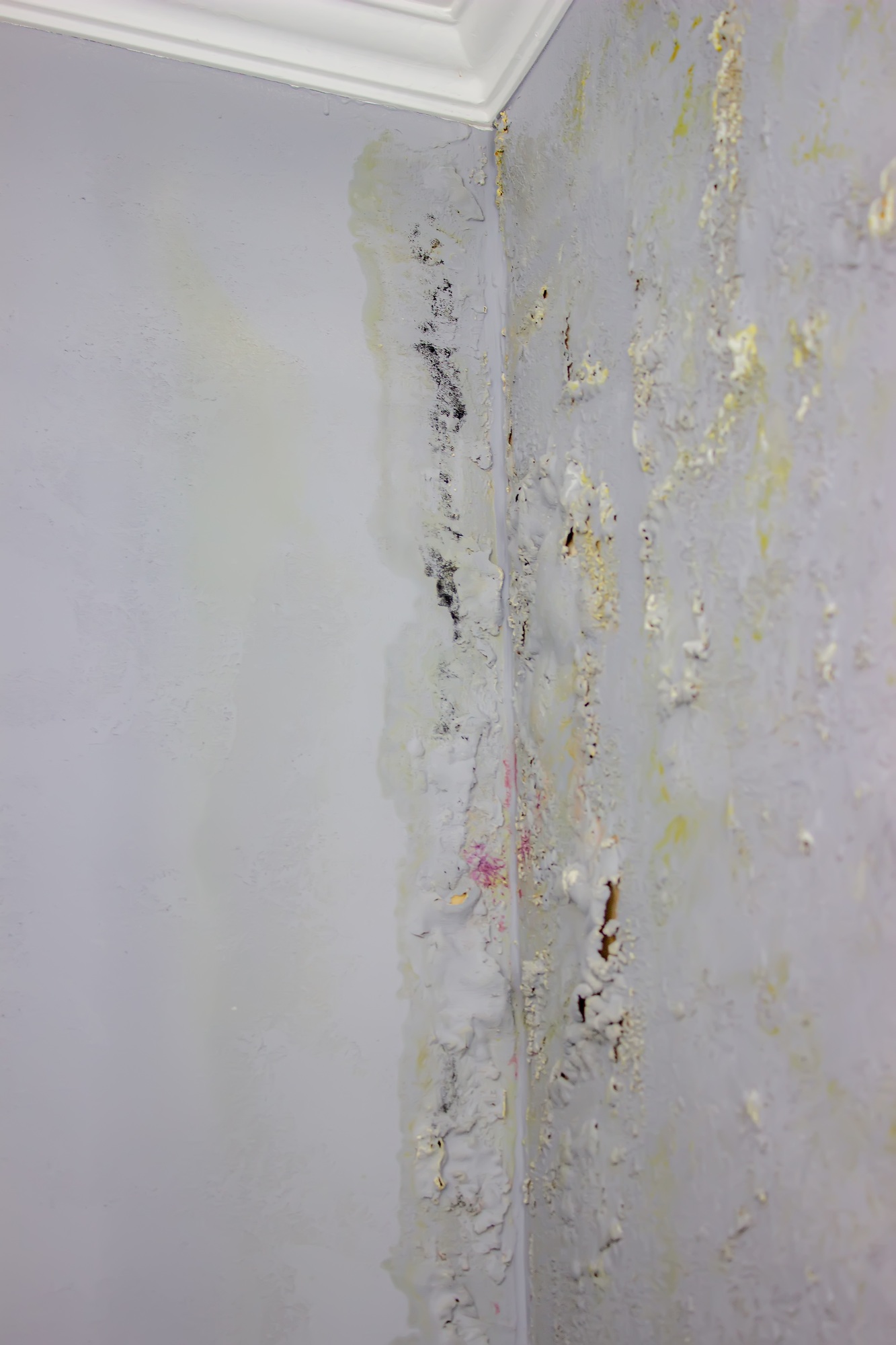 black mold on the wall. Fungus on the wall after the flooding of the house.